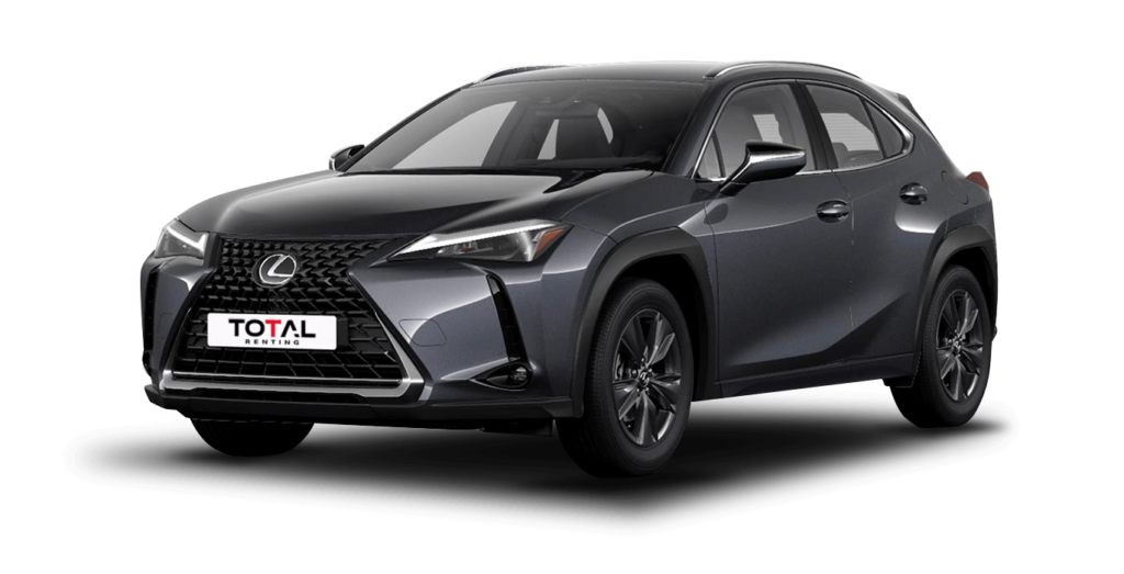 Renting Lexus UX 2.0 250h Business