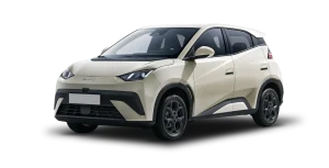 Renting BYD Dolphin Surf Boost