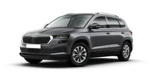 SKODA Karoq Selection 2.0 TDI 150cv 4x4 DSG